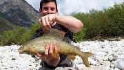 Ed Grayling April, Slovenia fly fishing